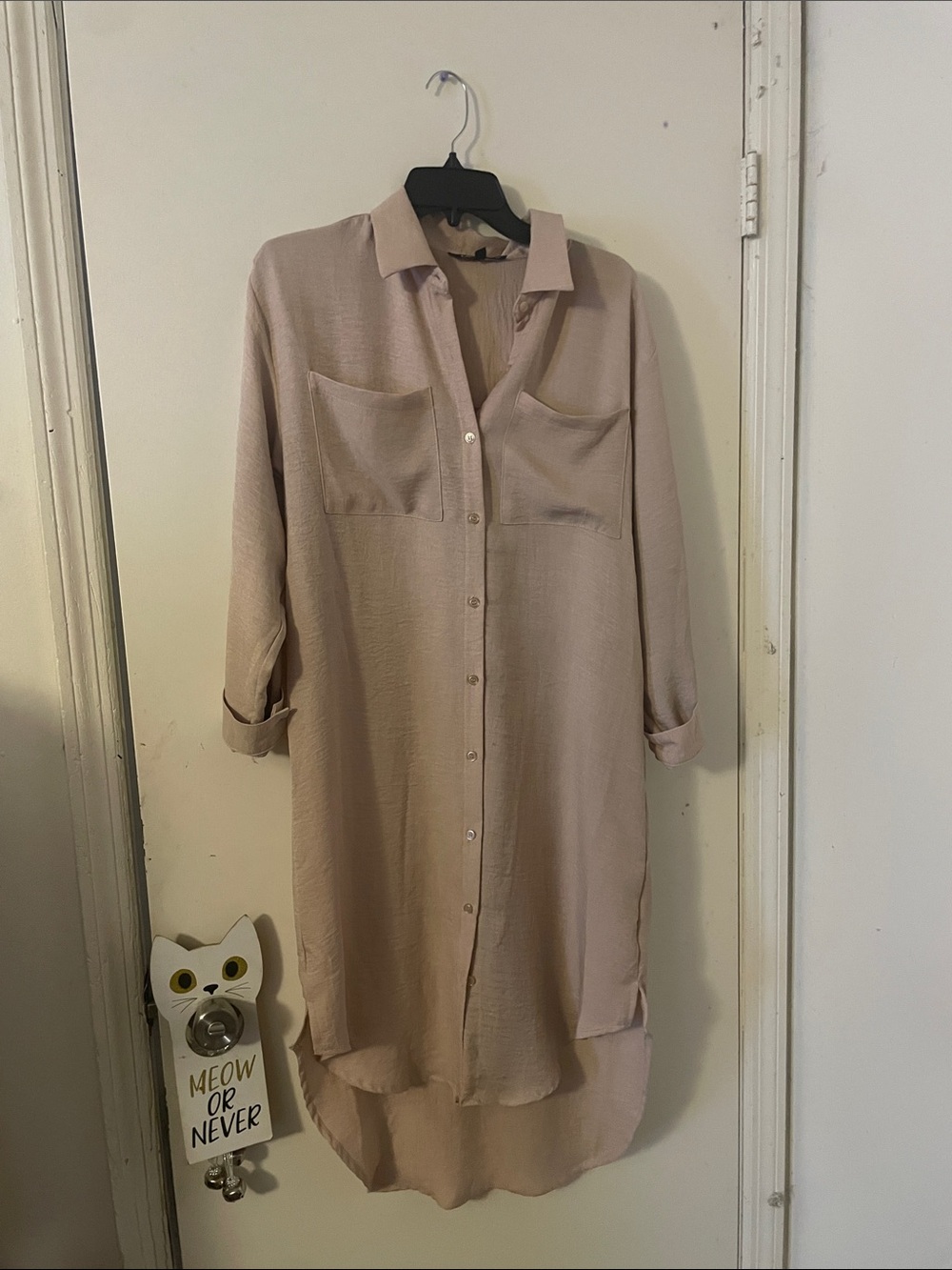Light Mauve Button-Down Shirt Dress